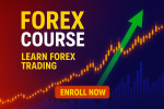 دوره آموزشی فارکس